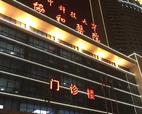 内蒙古代母电话