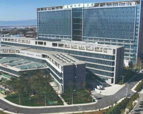 内蒙古未婚做试管机构受骗,内蒙古哪里做试管成功高！