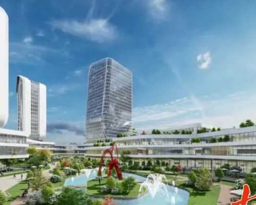 瑞金试管价格解析