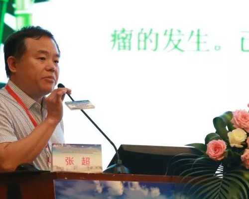 怀女孩的早期症状有哪些？胎儿性别是怎么形成的？