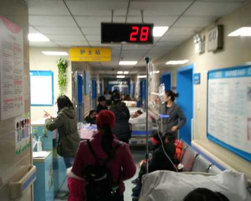 1-3岁小狗的简笔画