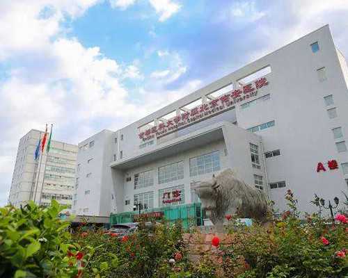 内蒙古促排卵好的医院,内蒙古第三代试管婴儿那里好？