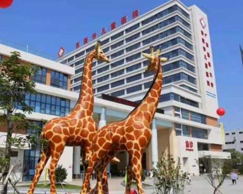 厦门代妈群捐卵-内蒙有捐卵嘛